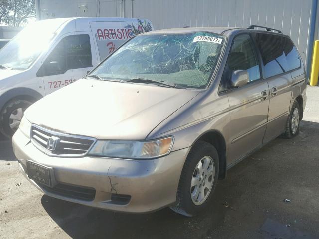 5FNRL18854B148733 - 2004 HONDA ODYSSEY EX GOLD photo 2