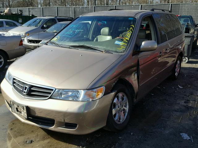 5FNRL18953B102147 - 2003 HONDA ODYSSEY EX GOLD photo 2