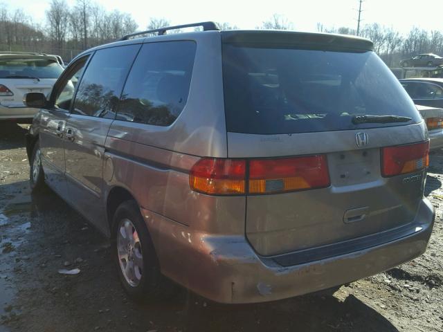 5FNRL18953B102147 - 2003 HONDA ODYSSEY EX GOLD photo 3