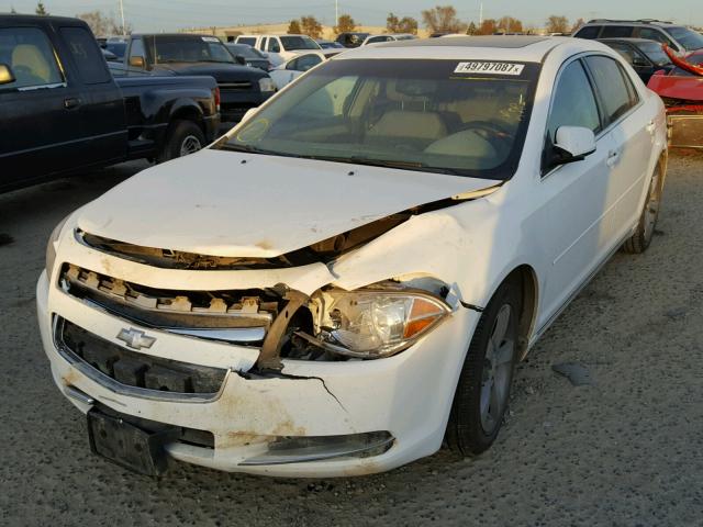 1G1ZC5E10BF102212 - 2011 CHEVROLET MALIBU 1LT WHITE photo 2