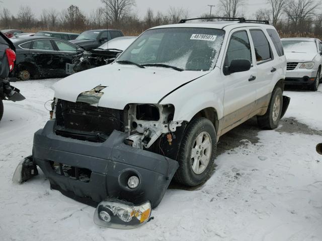 1FMYU03187KB08369 - 2007 FORD ESCAPE XLT WHITE photo 2