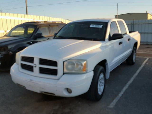 1D7HE48N96S671309 - 2006 DODGE DAKOTA WHITE photo 2