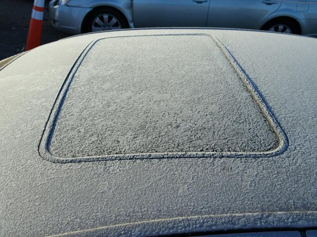 1LNHM87A81Y631761 - 2001 LINCOLN LS 棕色 照片 9