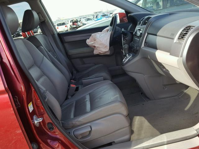 JHLRE38727C064242 - 2007 HONDA CR-V EXL RED photo 5