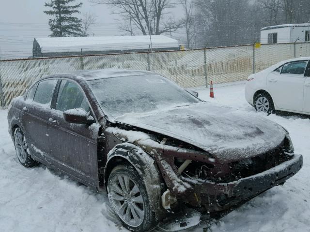 1HGCP2F74BA099333 - 2011 HONDA ACCORD EX MAROON photo 1