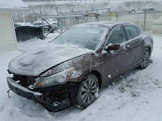 1HGCP2F74BA099333 - 2011 HONDA ACCORD EX MAROON photo 2