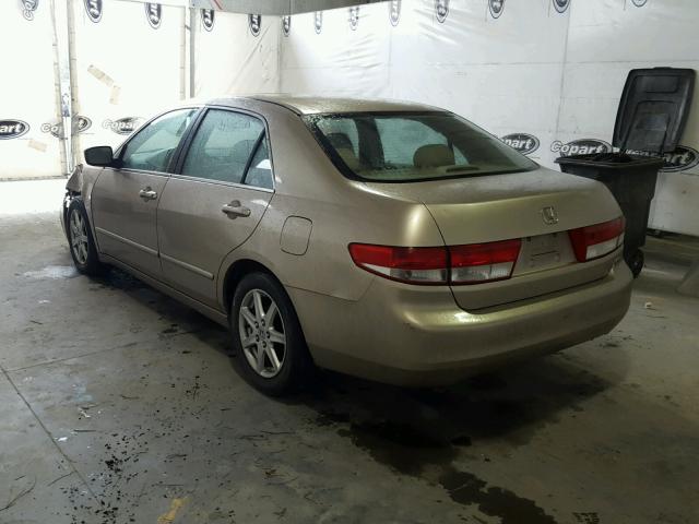 1HGCM66563A084266 - 2003 HONDA ACCORD EX GOLD photo 3