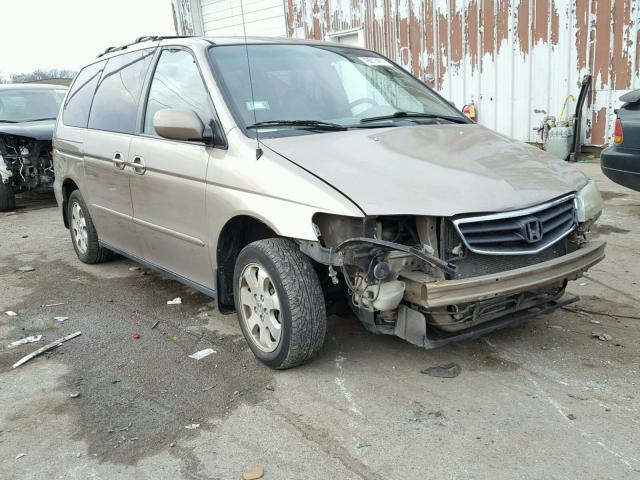 5FNRL18034B010036 - 2004 HONDA ODYSSEY EX TAN photo 1