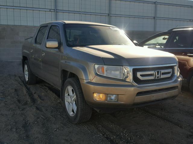 5FPYK16569B104486 - 2009 HONDA RIDGELINE GOLD photo 1