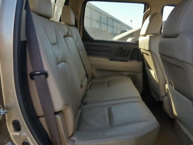 5FPYK16569B104486 - 2009 HONDA RIDGELINE GOLD photo 6