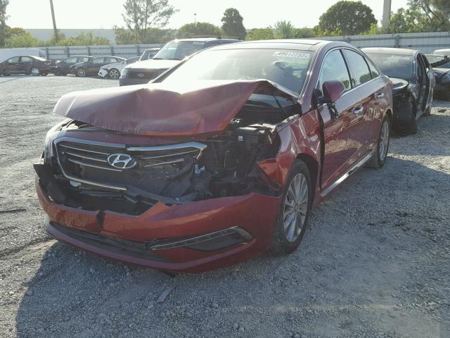 5NPE34AF4FH077800 - 2015 HYUNDAI SONATA SPO RED photo 2