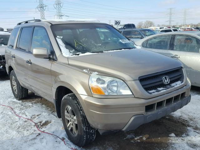 5FNYF18535B005855 - 2005 HONDA PILOT EXL GOLD photo 1