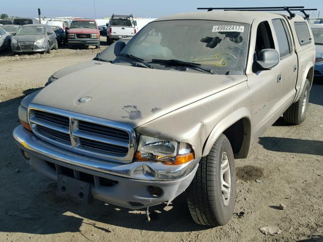 1B7HG48N62S616833 - 2002 DODGE DAKOTA QUA TAN photo 2