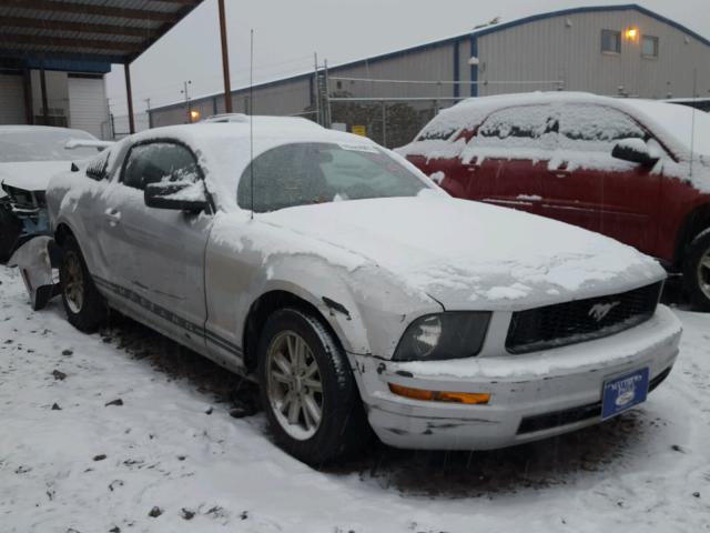 1ZVHT80N165246309 - 2006 FORD MUSTANG SILVER photo 1