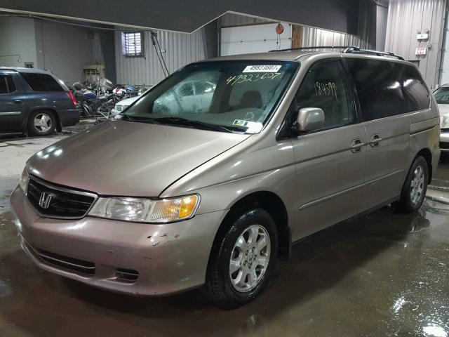 5FNRL18963B051712 - 2003 HONDA ODYSSEY EX GOLD photo 2