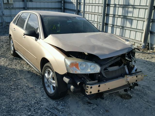 1G1ZT64804F238864 - 2004 CHEVROLET MALIBU MAX 金色 照片 1