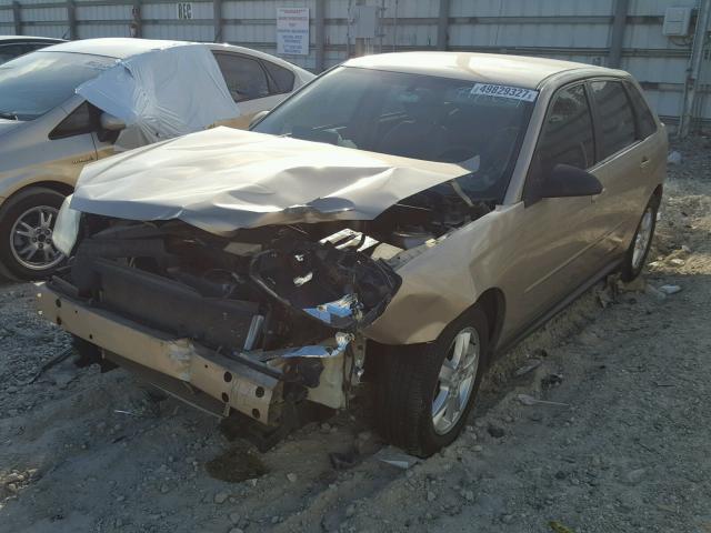 1G1ZT64804F238864 - 2004 CHEVROLET MALIBU MAX 金色 照片 2