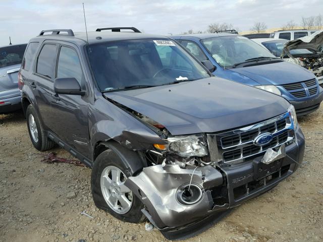 1FMCU0DG3BKB90923 - 2011 FORD ESCAPE XLT GRAY photo 1