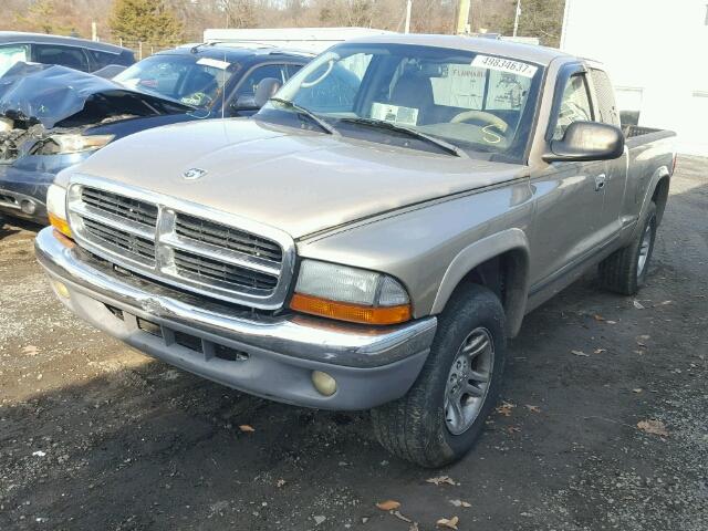 1D7HG42N13S267029 - 2003 DODGE DAKOTA SLT GOLD photo 2