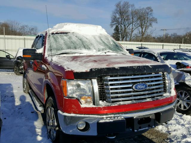 1FTFX1EF1BFA54299 - 2011 FORD F150 SUPER RED photo 1