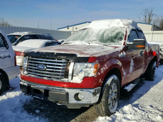 1FTFX1EF1BFA54299 - 2011 FORD F150 SUPER RED photo 2