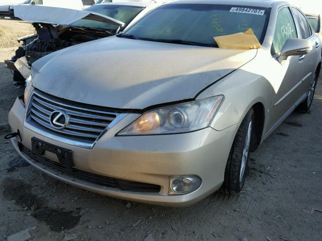 JTHBK1EG4B2444647 - 2011 LEXUS ES 350 GOLD photo 2