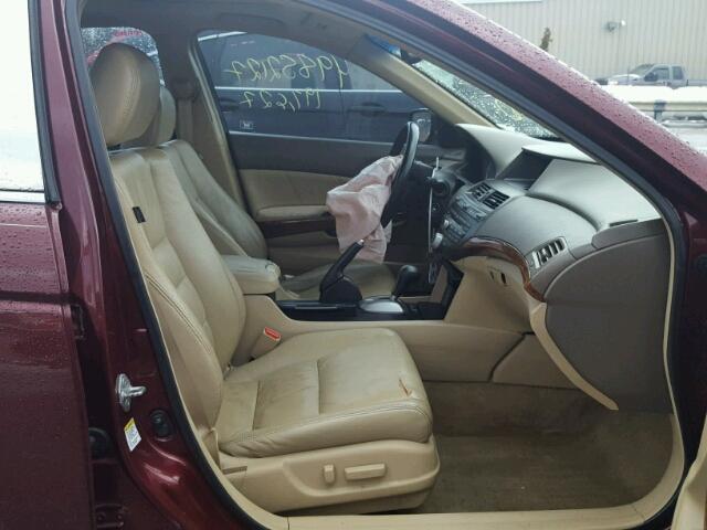 1HGCP36848A048776 - 2008 HONDA ACCORD EXL RED photo 5