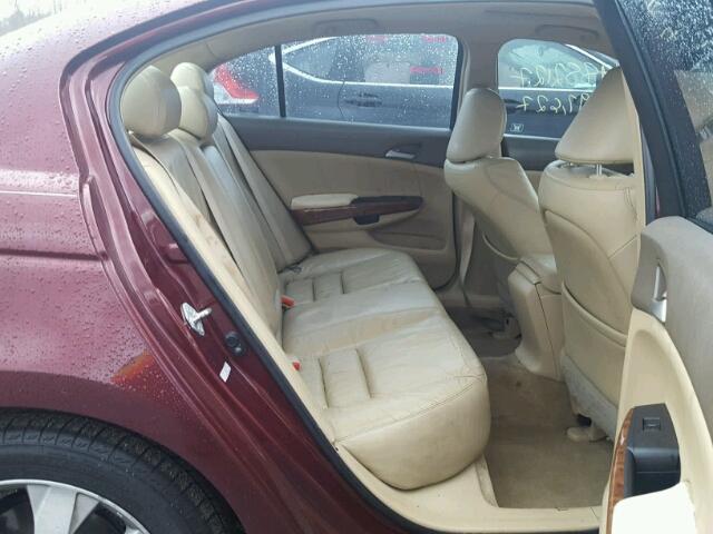 1HGCP36848A048776 - 2008 HONDA ACCORD EXL RED photo 6