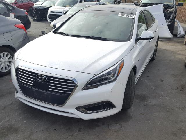 KMHE34L11GA024526 - 2016 HYUNDAI SONATA HYB WHITE photo 2