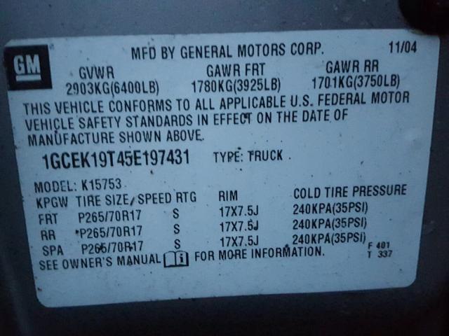 1GCEK19T45E197431 - 2005 CHEVROLET SILVERADO TAN photo 10