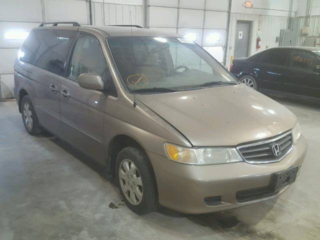 5FNRL18604B037389 - 2004 HONDA ODYSSEY EX GOLD photo 1