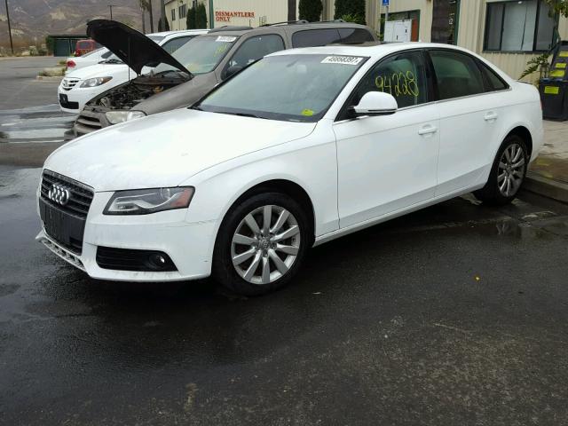 WAUSF78K29N043029 - 2009 AUDI A4 PREMIUM WHITE photo 2