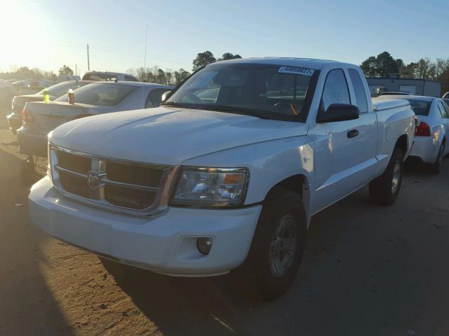 1D7HE42K68S638334 - 2008 DODGE DAKOTA SLT WHITE photo 2