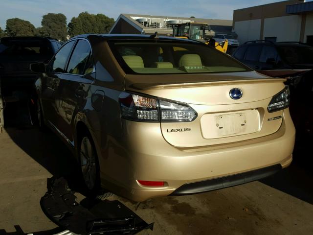 JTHBB1BAXA2026219 - 2010 LEXUS HS 250H TAN photo 3