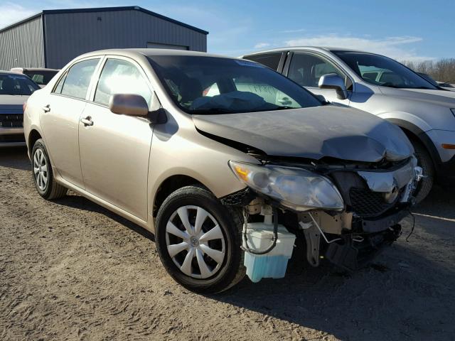 1NXBU40E59Z057974 - 2009 TOYOTA COROLLA BA GOLD photo 1