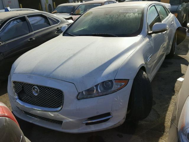 SAJWA2GE0BMV15811 - 2011 JAGUAR XJL SUPERC WHITE photo 2