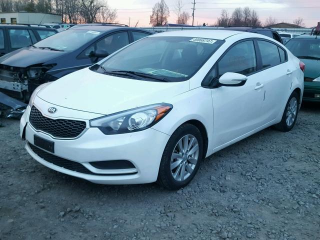 KNAFX4A6XF5360045 - 2015 KIA FORTE LX WHITE photo 2