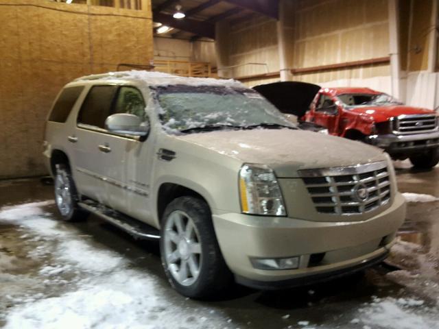 1GYFK63847R158429 - 2007 CADILLAC ESCALADE L GOLD photo 2