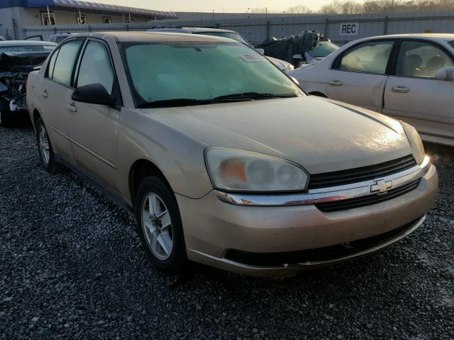 1G1ZT54875F215335 - 2005 CHEVROLET MALIBU LS 棕色 照片 1