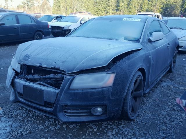 WAUVVAFR9BA058220 - 2011 AUDI S5 PRESTIG BLACK photo 2