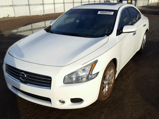 1N4AA5AP1BC849765 - 2011 NISSAN MAXIMA S Biały zdjęcie 2