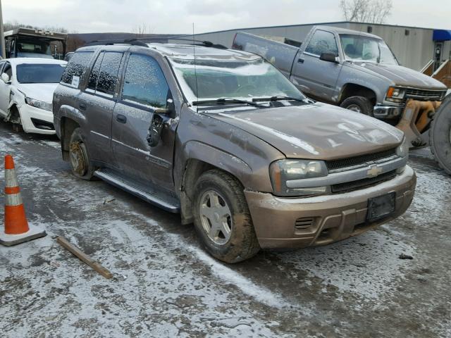 1GNDT13S622366703 - 2002 CHEVROLET TRAILBLAZE BROWN photo 1