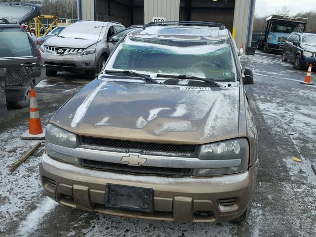 1GNDT13S622366703 - 2002 CHEVROLET TRAILBLAZE BROWN photo 9