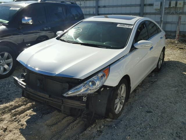 5NPEC4AC0DH601799 - 2013 HYUNDAI SONATA SE WHITE photo 2