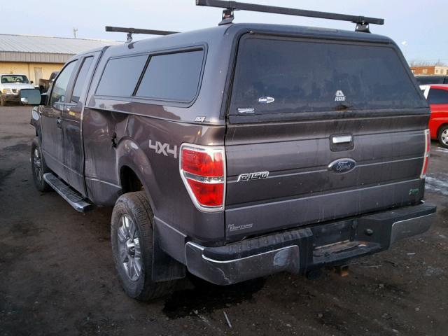 1FTFX1EV1AKE16449 - 2010 FORD F150 SUPER GRAY photo 3