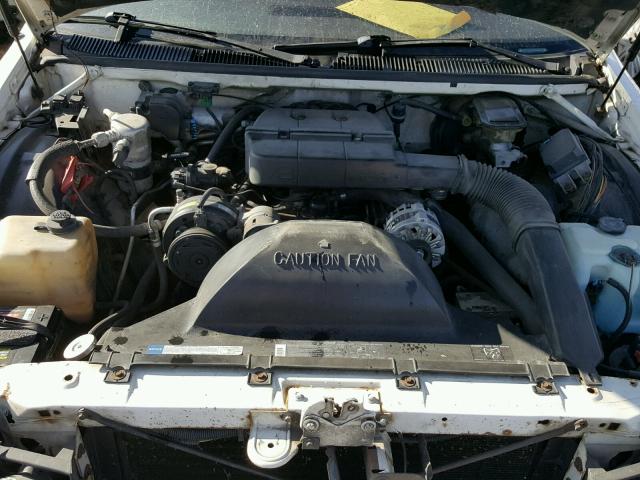 1G1BN53E5MW188024 - 1991 CHEVROLET CAPRICE CL WHITE photo 7