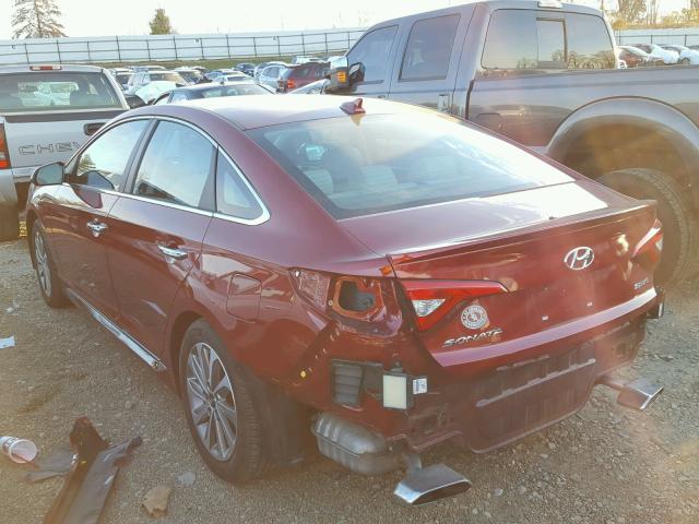 5NPE34AF5GH341107 - 2016 HYUNDAI SONATA SPO BURGUNDY photo 3