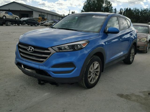 KM8J23A49GU226182 - 2016 HYUNDAI TUCSON SE BLUE photo 2