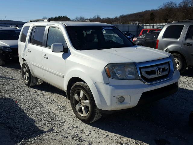 5FNYF38439B016685 - 2009 HONDA PILOT EX WHITE photo 1