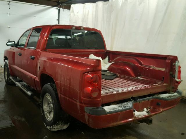 1D7HW48N98S519238 - 2008 DODGE DAKOTA QUA RED photo 3